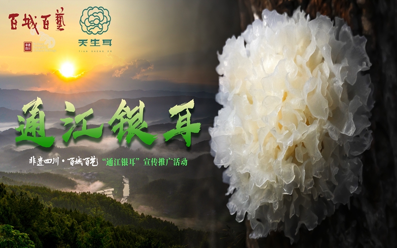 未标题-2 - 副本 拷贝.jpg