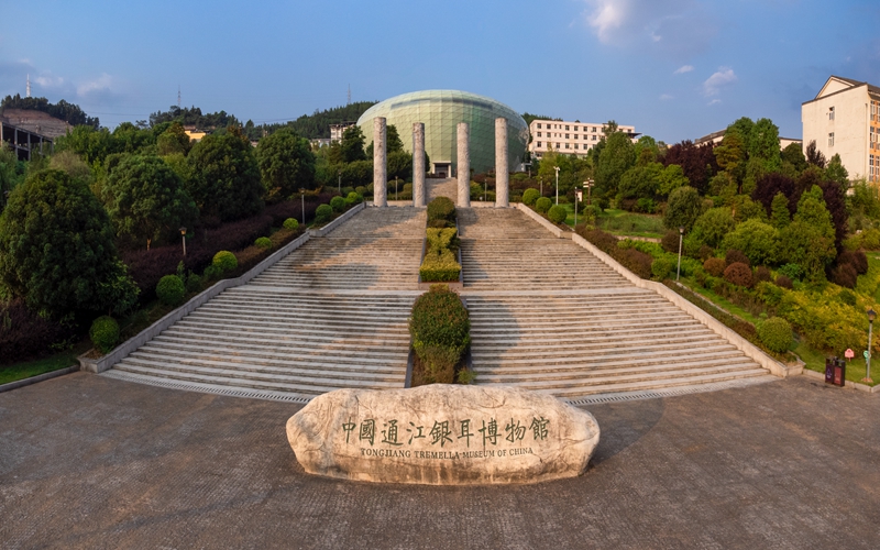 银耳博物馆2.jpg