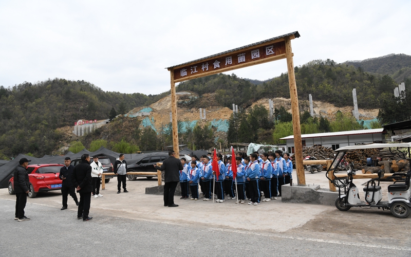 通江银耳非遗体验基地开展的研学体验活动.jpg